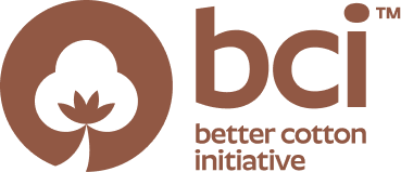 BCI certification